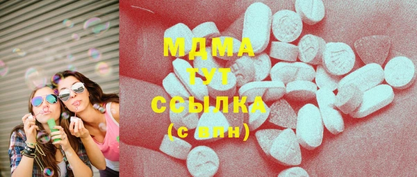 ешки Алексин