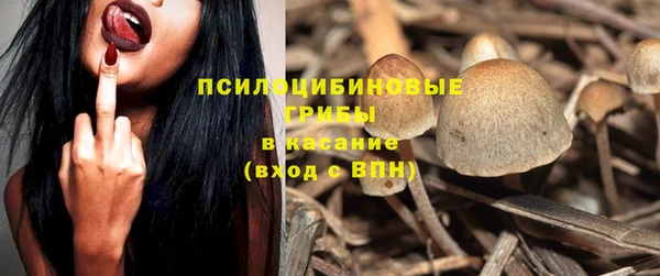 ешки Алексин