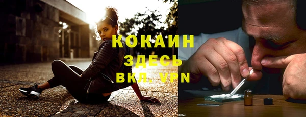 ешки Алексин