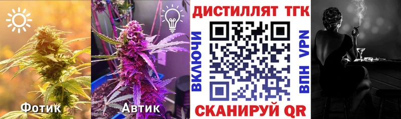 купить наркотики сайты  hydra зеркало  ТГК жижа  Котово 